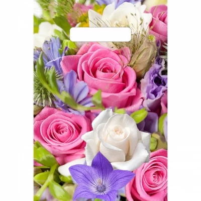 Пакет "Лирика", полиэтиленовый с вырубной ручкой, 30 х 20 см, мкм 2846938