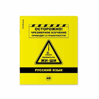 Тетрадь общая ученическая с пластиковой обложкой на скобе ErichKrause Be Informed, Русский язык, 48 листов, линейка 59480