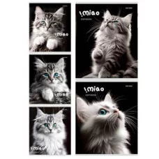 Тетрадь КЛЕТКА 48л. ЧЁРНО-БЕЛЫЕ КОТИКИ (48-4807) цветная мелованная обложка 48-4807