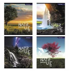 Тетрадь 36 л., А5, клетка, Alingar "Nature power", скрепка, второй блок 60г/м2,  мелованный картон (стандарт) AL10821