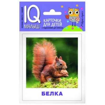 Набор карточек Умный малыш. Кто живёт в лесу? АЙРИС-пресс 511810