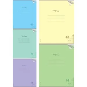Тетрадь КЛЕТКА 48л. проз.пласт.обл. plastic cover КЛАССИКА NEW ассорти 48-1470