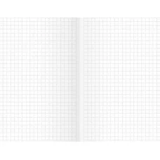 Книга для записей А5 96л "Basics. Россия" КанцЭксмо КЗБК5964261