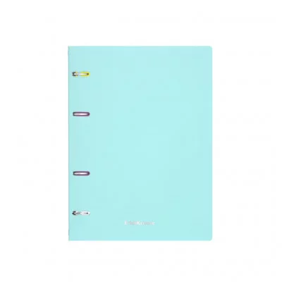 Тетрадь общая с пластиковой обложкой на кольцах ErichKrause Pastel Mint, А5, 80 листов, клетка 53702