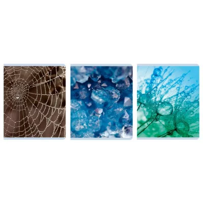 Тетрадь А5 96л "Красота в деталях" КанцЭксмо ТК968544