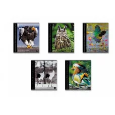 Тетрадь общая ученическая ErichKrause Энциклопедия Красная книга России. Птицы 48 листов клетка глянцевая ламинация 59968