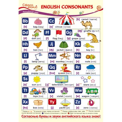 ПО-13586 Плакат А3. Английский язык в начальной школе. English Consonants (Английские согласные) / Сфера знаний