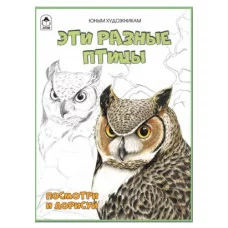Эти разные птицы.(Посмотри и раскрась) 978-5-00161-363-3 Алтей Д.Морозова Посмотри и раскрась (Бэст) 9785001613633