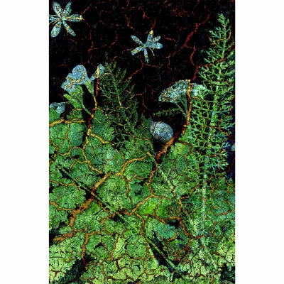 Книга для записей А5 100л "Тайны леса"  КанцЭксмо