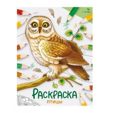 Окружающий мир. Раскраска. Птицы Стрекоза - Окружающий мир. Раскраска 978-5-9951-5776-2