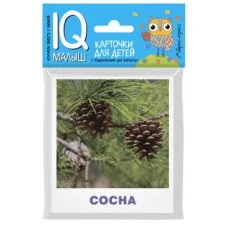 Набор карточек Айрис-Пресс "Умный малыш. Деревья", для детей 3-9 лет, двусторонние 512048