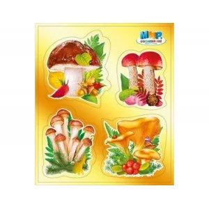 Наклейка "Грибы" А6 Мир поздравлений 80747