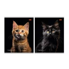 Тетрадь КЛЕТКА 36л. ПОРТРЕТНОЕ ФОТО КОТА (36-5766) (обл.- мелов. картон, второй блок) 36-5766