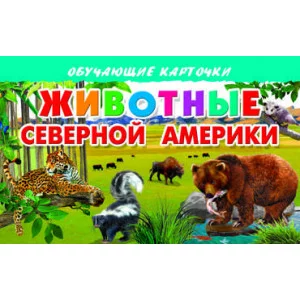 Обучающие карточки Карточки. Животные Северной Америки