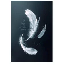 ЕЖЕДНЕВНИК А5,128л. БЕЛЫЕ ПЁРЫШКИ (128-9987)7БЦ,матовая ламинация,выбороч. лак,недат 128-9987