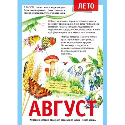 Мини-плакат "12 месяцев: Август", изд.: Горчаков 460326240600771501