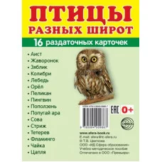 Дем. картинки СУПЕР Птицы разных широт. 16 раздаточных карточек с текстом  (учебно-методическое пособие с комплектом демонстрационного материала 63х87 мм) 00-00003601