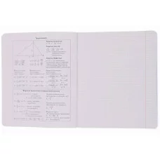 Тетрадь предметная "Манул Манулыч" 48л Скрепка Клетка/Линия Обл мел картон ламин soft-touch Бум бел оф 60г