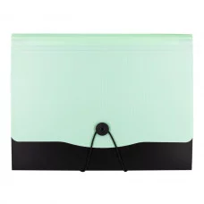 Папка-картотека Alingar, A4, 330х250 мм, на пуговице, пластик, 600 мкм, 13 отделений, папка-планшет, мятный клапан AL12822