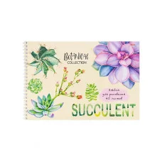 Альбом для рисования А4 40л СУККУЛЕНТЫ (40-5478) гребень офсет Аль4625