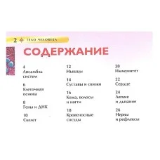 Тело человека. Детская энциклопедия / Детская энциклопедия изд-во: Росмэн авт:Смит М.