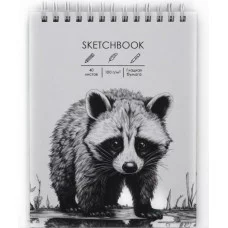 Скетчбук А6+ 40л "Енотик" КанцЭксмо ТС6405442