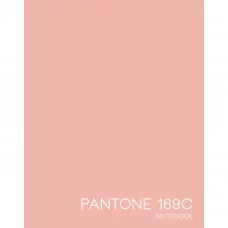 КНИГА для записей евротетради А5 167х210 96л. Персиковый щербет ЕТИЛ596224