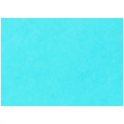 Картон цветной тонированный А4, Лилия Холдинг, 200г/м2, 1лист синий Лилия Холдинг 139705