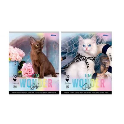 Тетрадь КЛЕТКА 48 л. ОЧАРОВАТЕЛЬНЫЕ КОТИКИ-1 (Т48-4363) цвет.мел. обл. Т48-4363