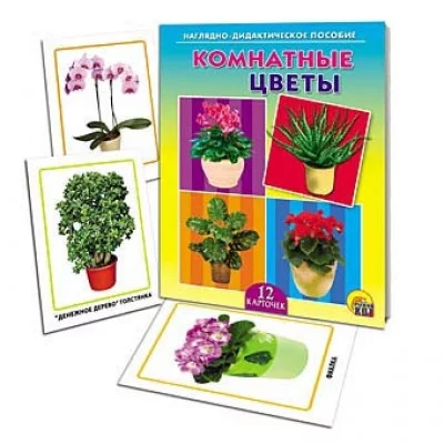 ДИД. ПОСОБИЕ. КОМНАТНЫЕ ЦВЕТЫ (Арт. ПД-9521)