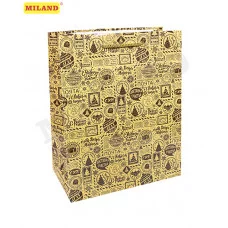 Пакет подарочный с глянцевой ламинацией 18x23x10 см (M) Экспресс-подарок, 157 г ПКП-8857