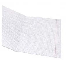 Тетрадь КЛЕТКА 96л. КОРОЛИ СКОРОСТИ (96-7910) (обл. - мелов.картон) 96-7910