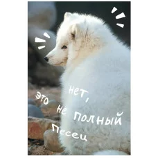 Книга для записей А5 80л "Песец" КанцЭксмо КЗ5803979