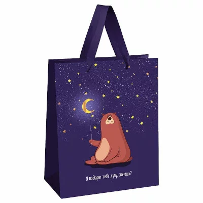 Пакет подарочный 1шт 18*23*10см MESHU "Я подарю тебе луну", отд. фольгой, выборочный лак, матовая ламинация 354612