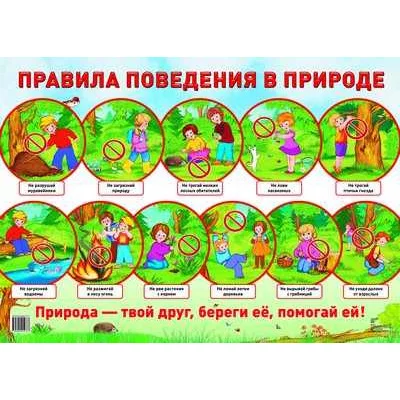 Демонстрационный плакат А2 Правила поведения в природе