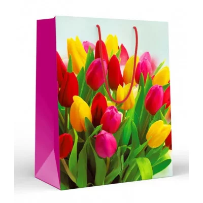 Пакет подарочный (L) "Цветные тюльпаны" 152002257