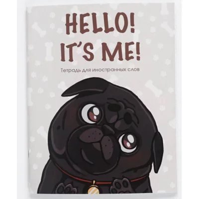 Тетрадь для записи иностранных слов А5 48л "Hello!" КанцЭксмо ТИС54897