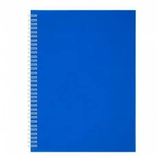 Тетрадь 96л., А4, клетка, AliТетрадь 96л., А4, клетка, Alingar, гребень, блок офсет, цветной пластик, "Синий" AL13344ngar, гребень, блок офсет, цветной пластик, "Синий" AL13344