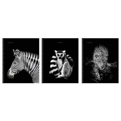 Тетрадь А5 96л "Прекрасные создания" КанцЭксмо ТСФ968547