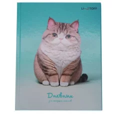 Дневник А5 48л "Котик" КанцЭксмо ДМ254801