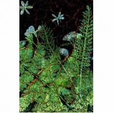 Книга для записей А5 100л "Тайны леса"  КанцЭксмо