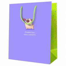 Пакет подарочный 1шт 18*23*10см MESHU "Покорителю моего сердечка", ламинированный 354763