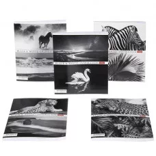 Тетрадь 60л клетка мелов "Вдохновение" 60г/м2 HATBER 60Т5В1 229864