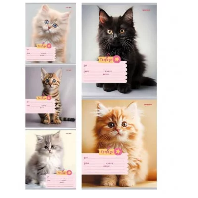 Тетрадь КЛЕТКА 18л. ФОТО КОТИКОВ (18-5587) цвет.мелов.обл. 18-5587