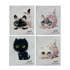 Тетрадь 48 л. кл.170х203,мет гребень "Глазастые котики" 3216-48