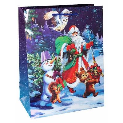 Пакет подарочный с глянцевой ламинацией 11,5x14,5x6 см (S) Дед Мороз к нам спешит!,128 г ПКП-6095