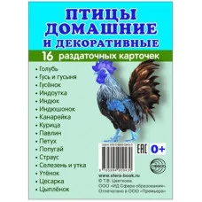 Дем. картинки СУПЕР Птицы домашние и декоративные.16 раздаточных карточек с текстом  (учебно-методическое пособие с комплектом демонстрационного материала 63х87 мм) 00-00003236