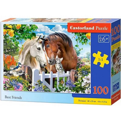 Пазлы 100 "Лучшие друзья" В-111121