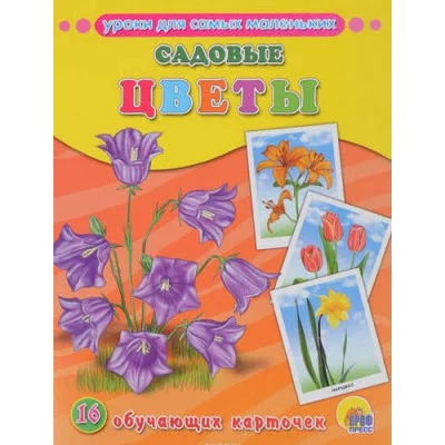 ОБУЧАЮЩИЕ КАРТОЧКИ. САДОВЫЕ ЦВЕТЫ