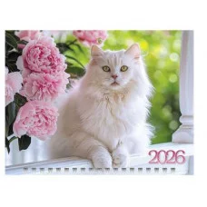 Календарь квартальный 3-х блоч. на 3-х гребнях 195х470мм МИНИ-3 бум. Офсет. цветной блок с бегунком КлнБ271